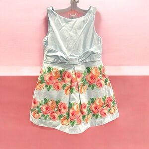JANIE And JACK All Abloom Little Girl’s Rose Print Dress Sz 3